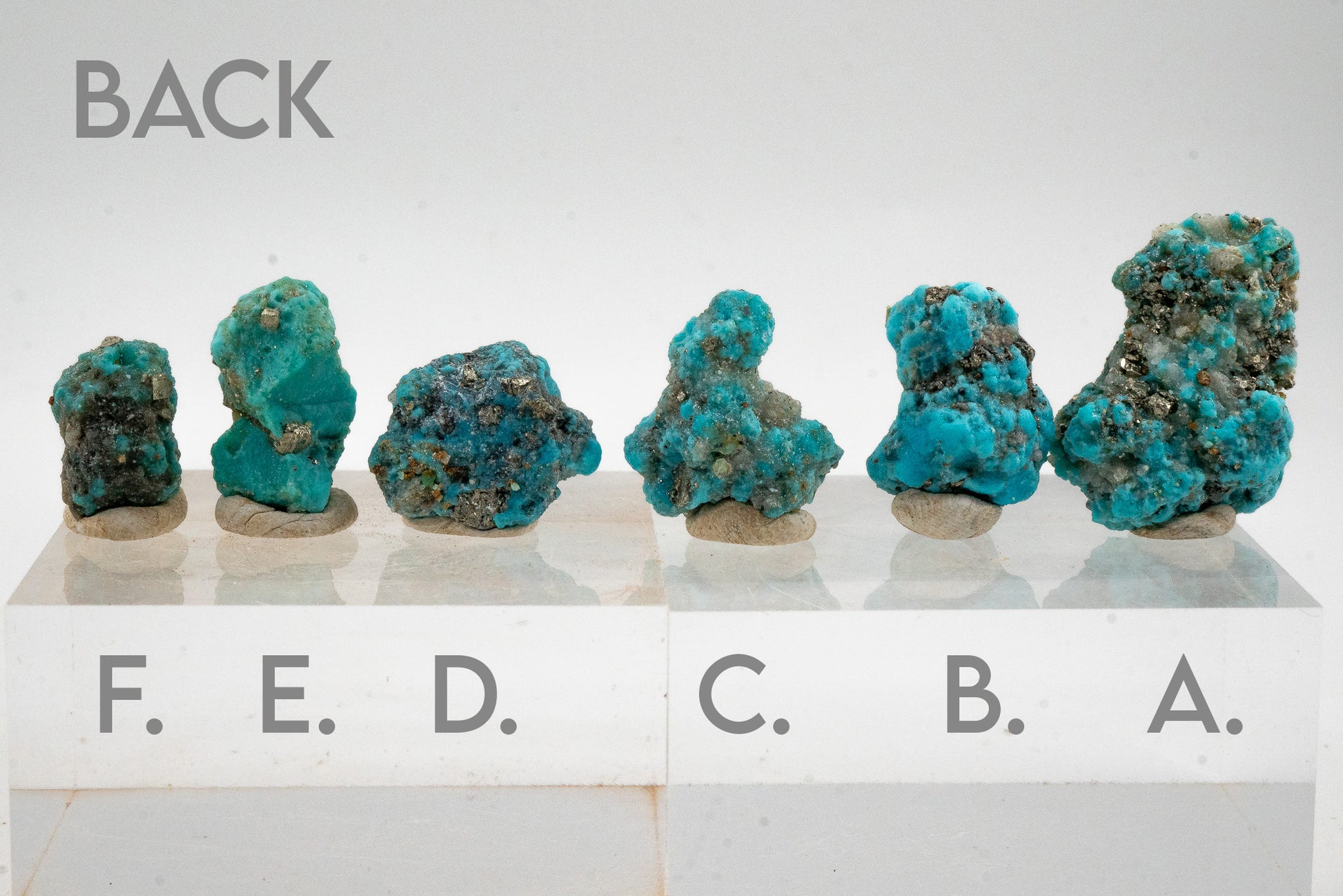 Turquoise & Pyrite - Sonora, Mexico