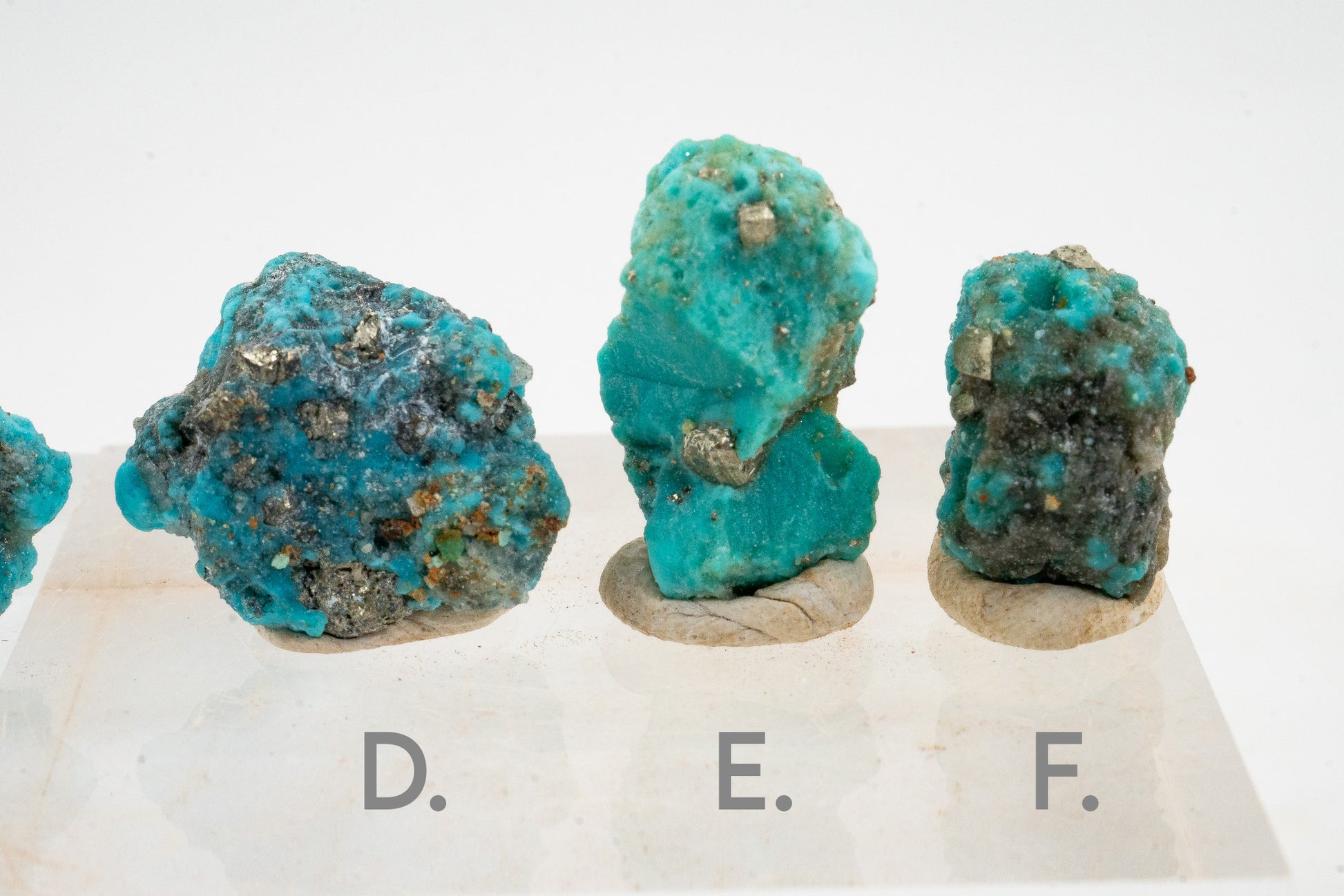 Turquoise & Pyrite - Sonora, Mexico