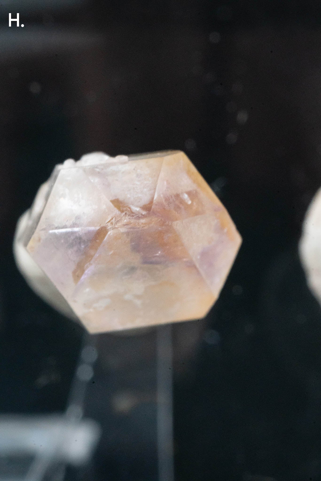 Dream Coat Trapiche Ametrine Point - Minas Gerais, Brazil