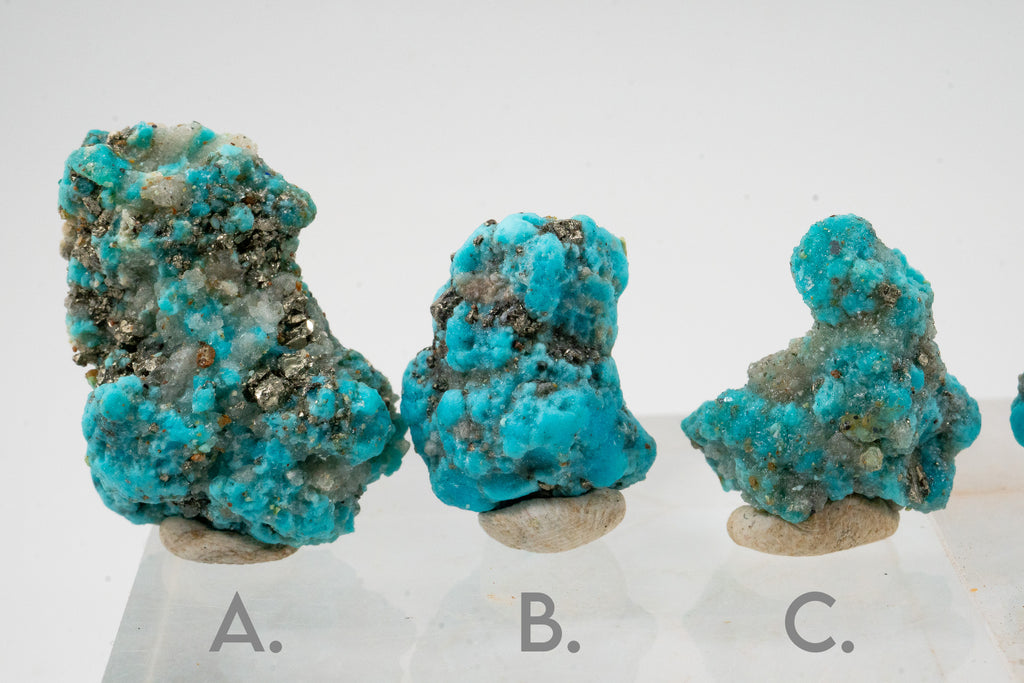 Turquoise & Pyrite - Sonora, Mexico