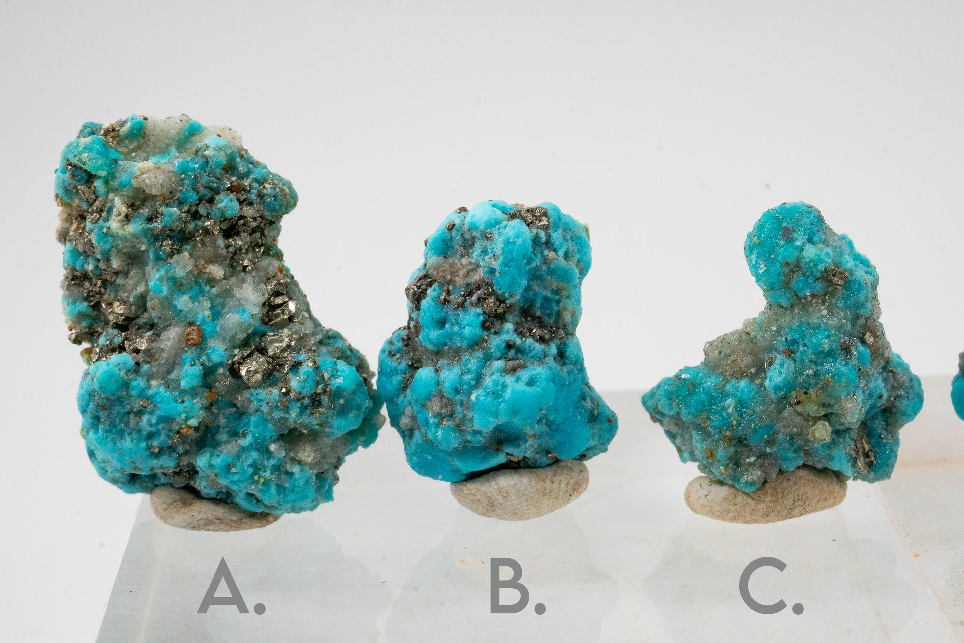 Turquoise & Pyrite - Sonora, Mexico