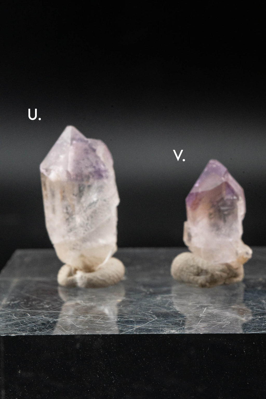Dream Coat Trapiche Ametrine Point - Minas Gerais, Brazil