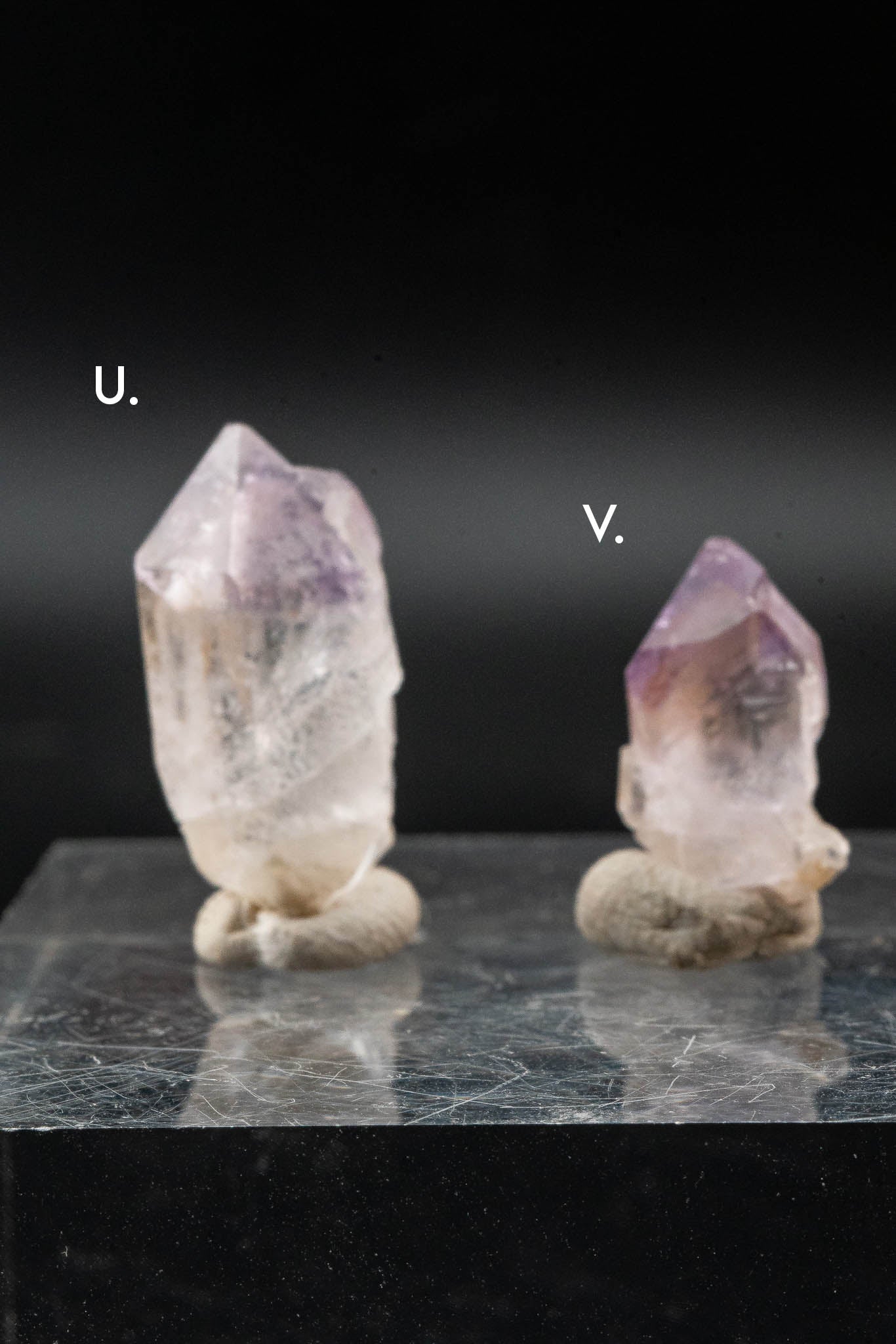 Dream Coat Trapiche Ametrine Point - Minas Gerais, Brazil