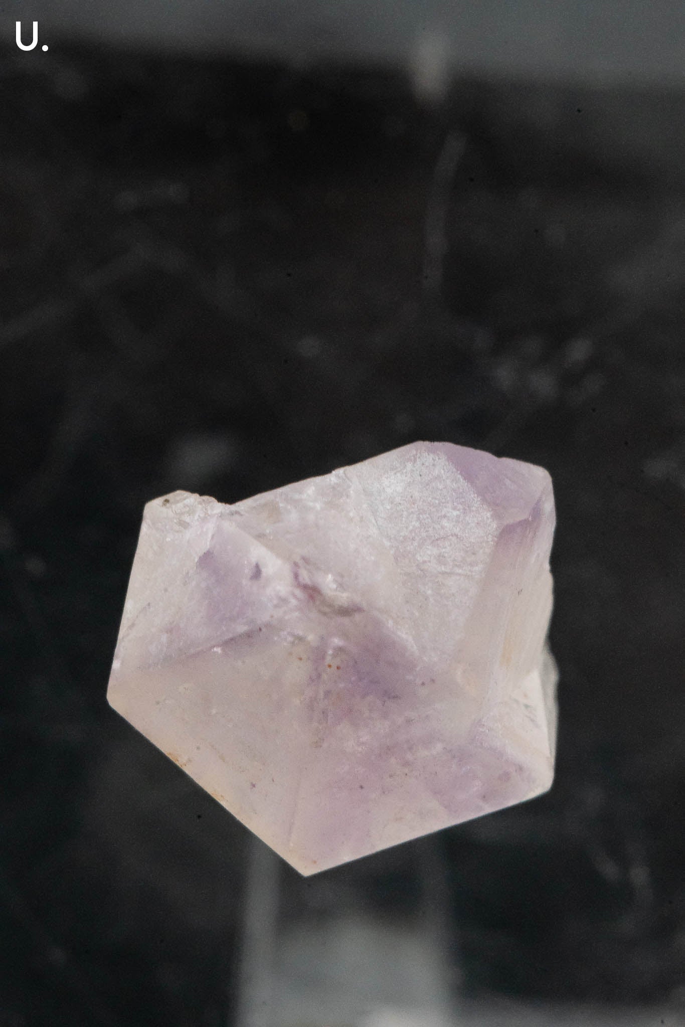Dream Coat Trapiche Ametrine Point - Minas Gerais, Brazil
