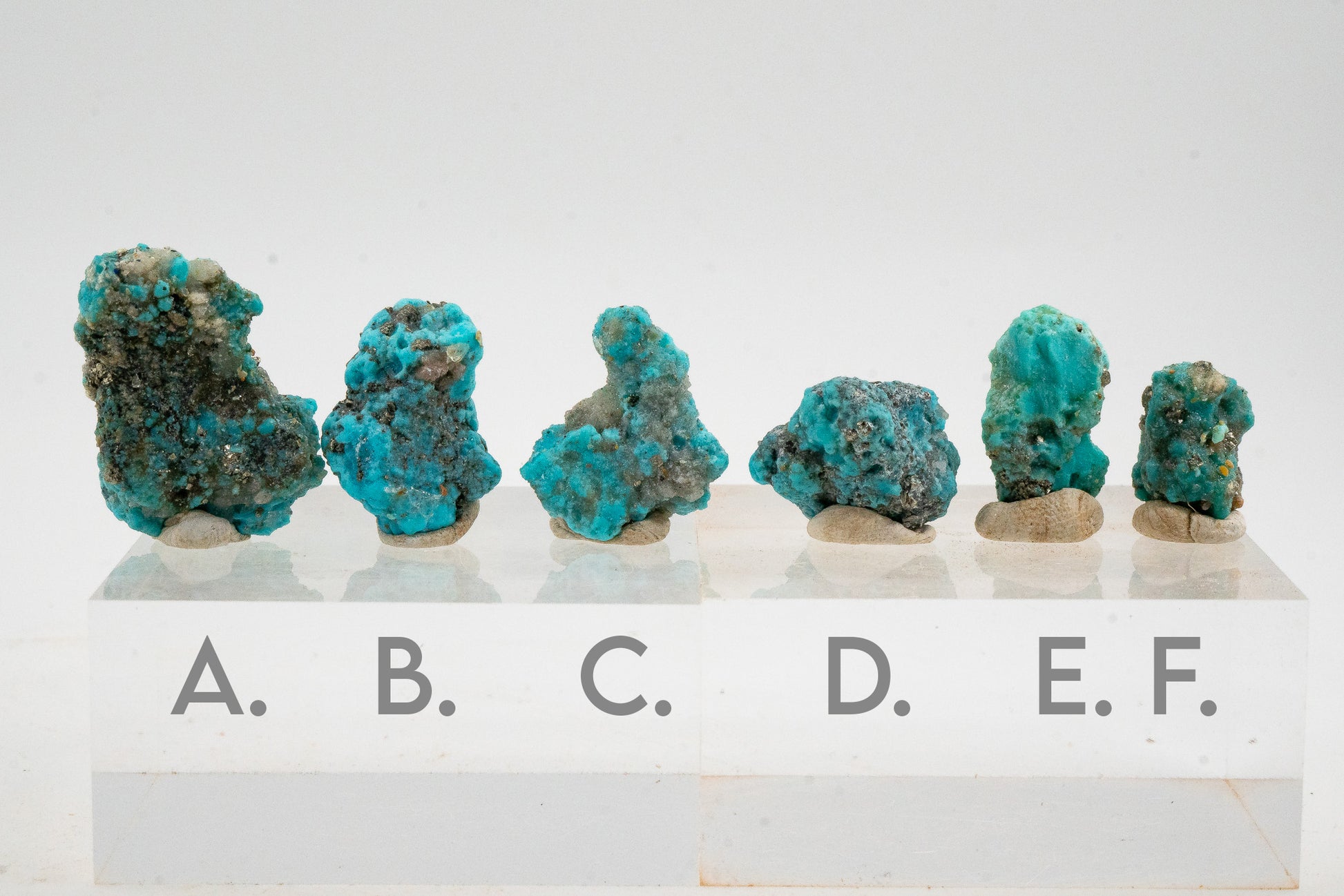 Turquoise & Pyrite - Sonora, Mexico