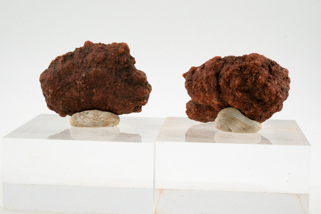 Geode Pair - Zirandaro, Guerrero, Mexico