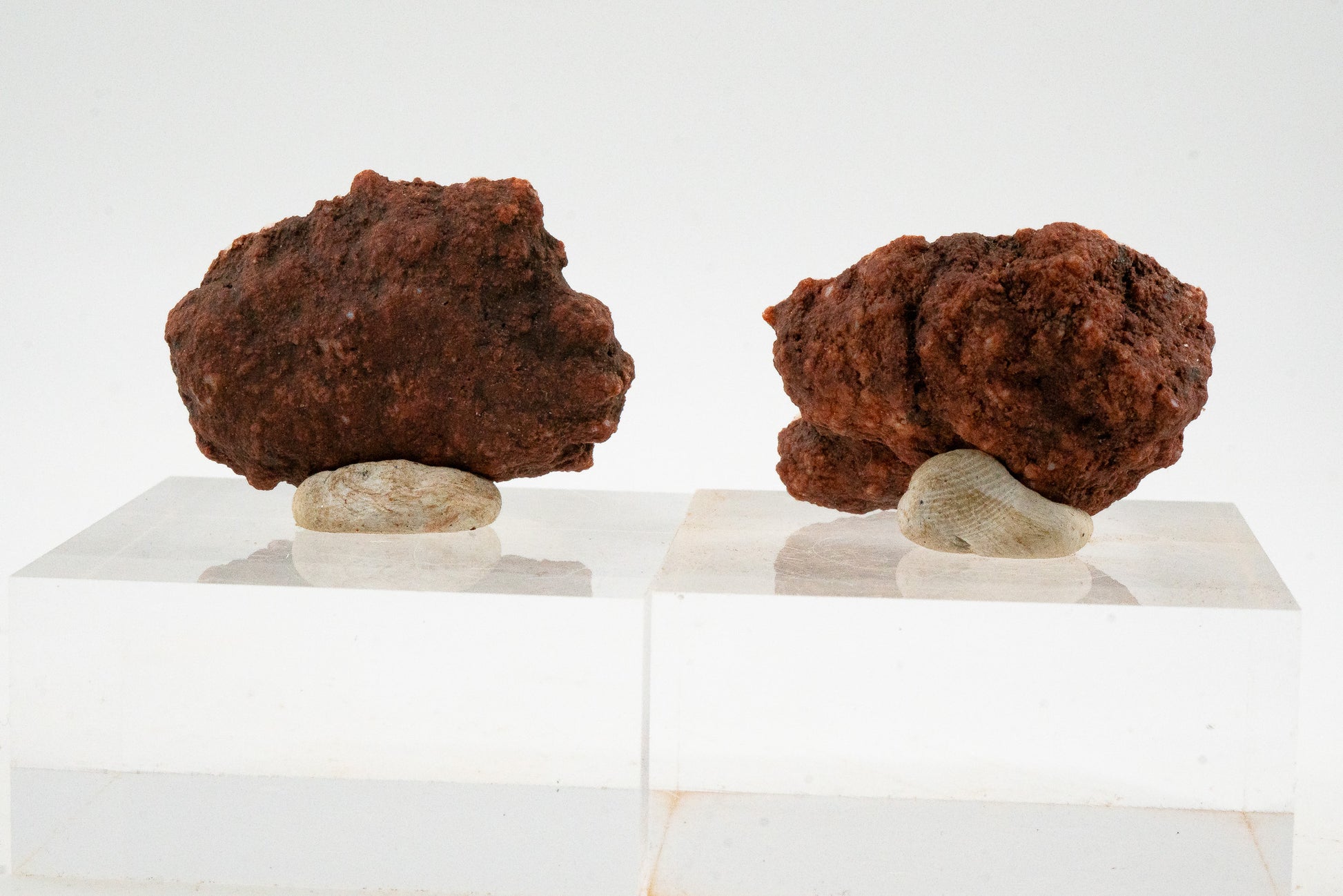 Geode Pair - Zirandaro, Guerrero, Mexico