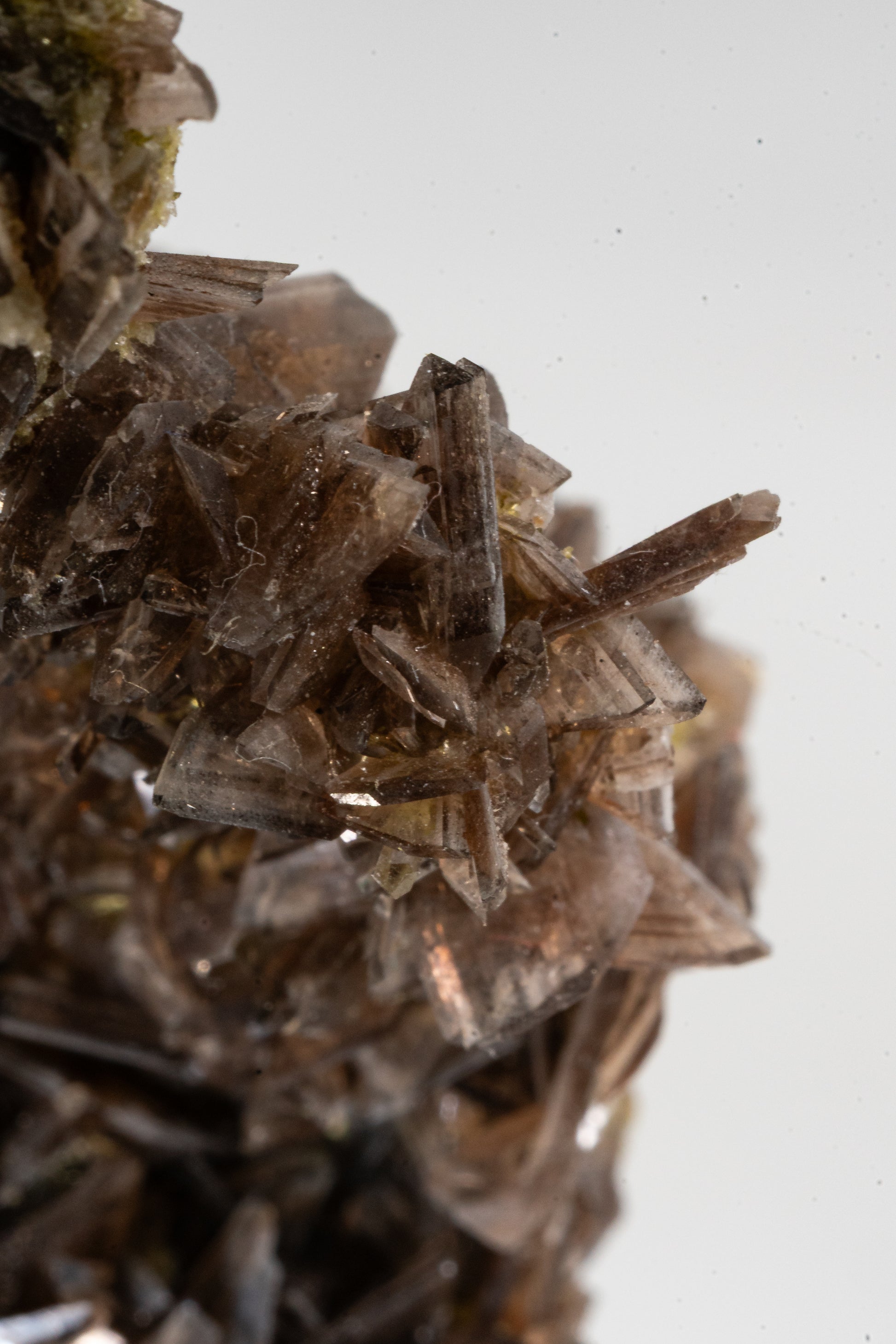 Epidote, Axinte -  Cullhuay, Peru