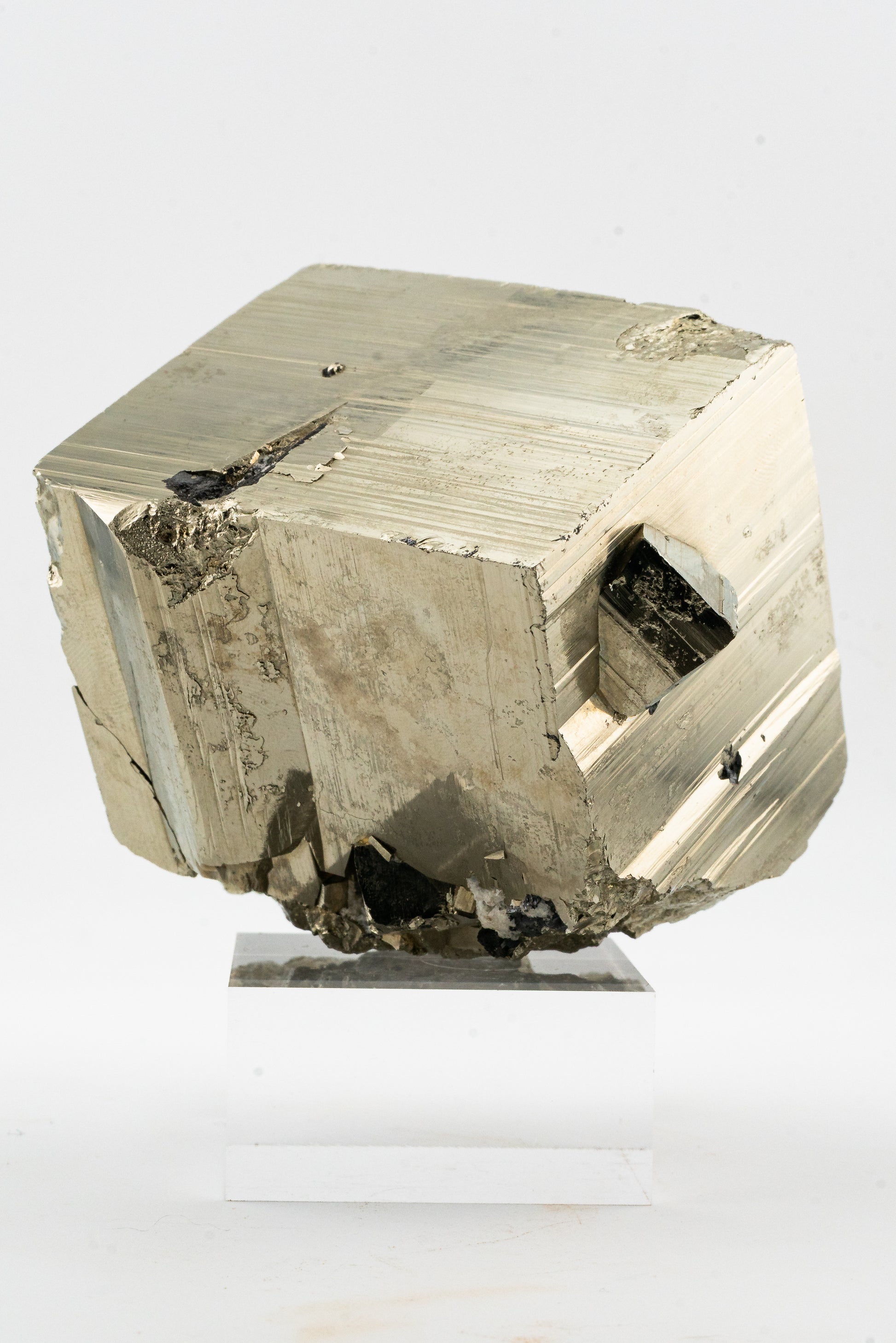 XL Cubic Pyrite - Huanzala, Peru