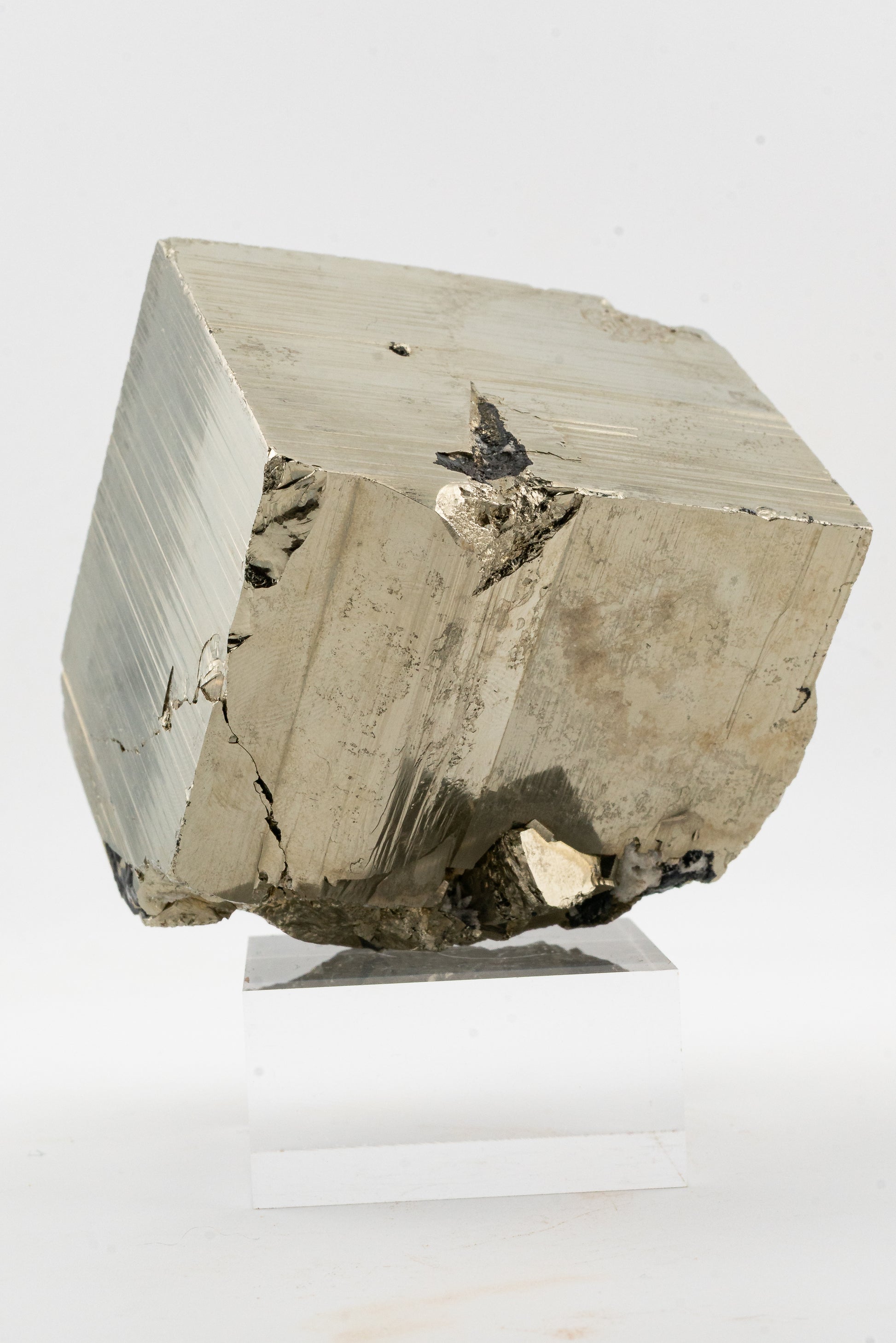 XL Cubic Pyrite - Huanzala, Peru