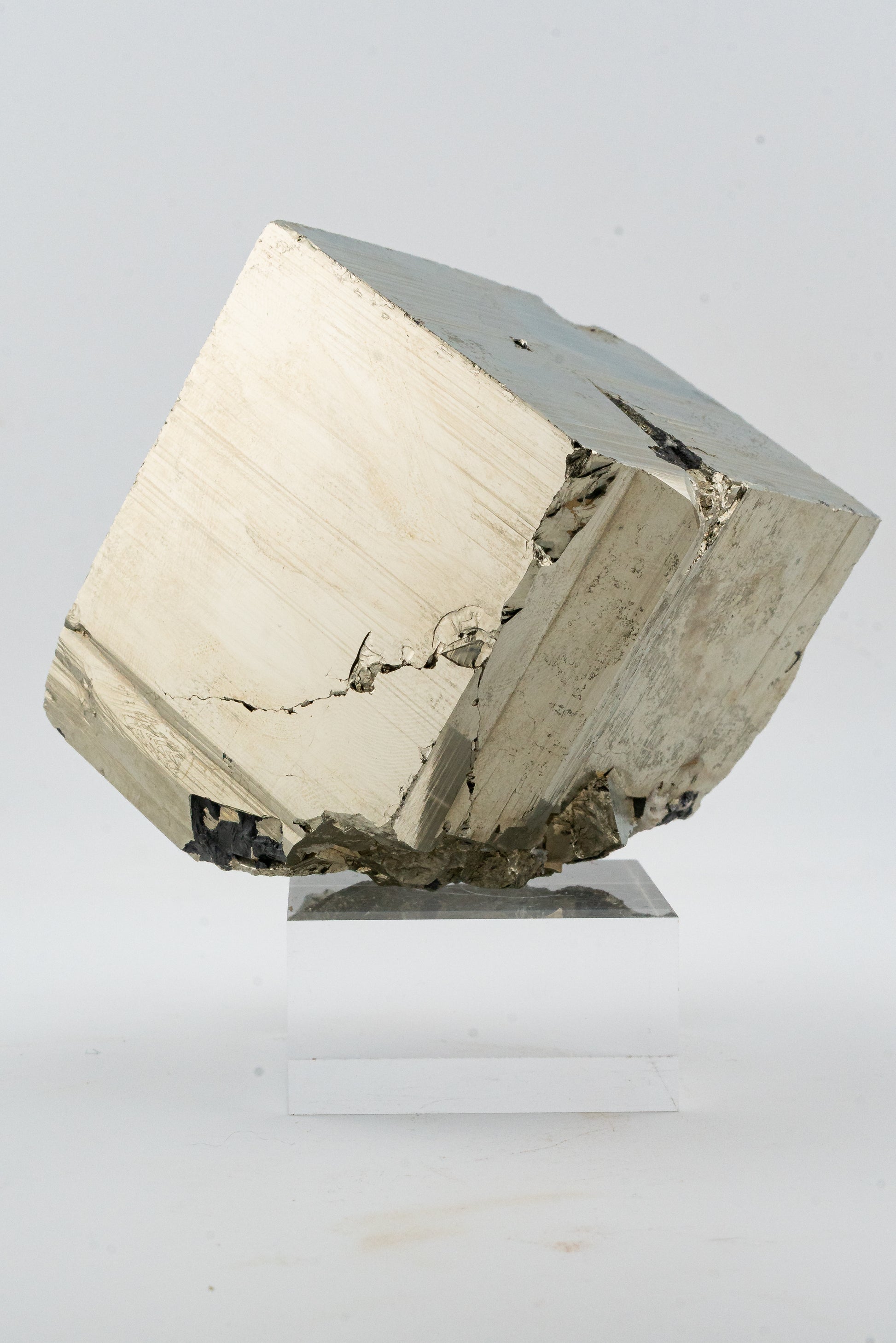 XL Cubic Pyrite - Huanzala, Peru