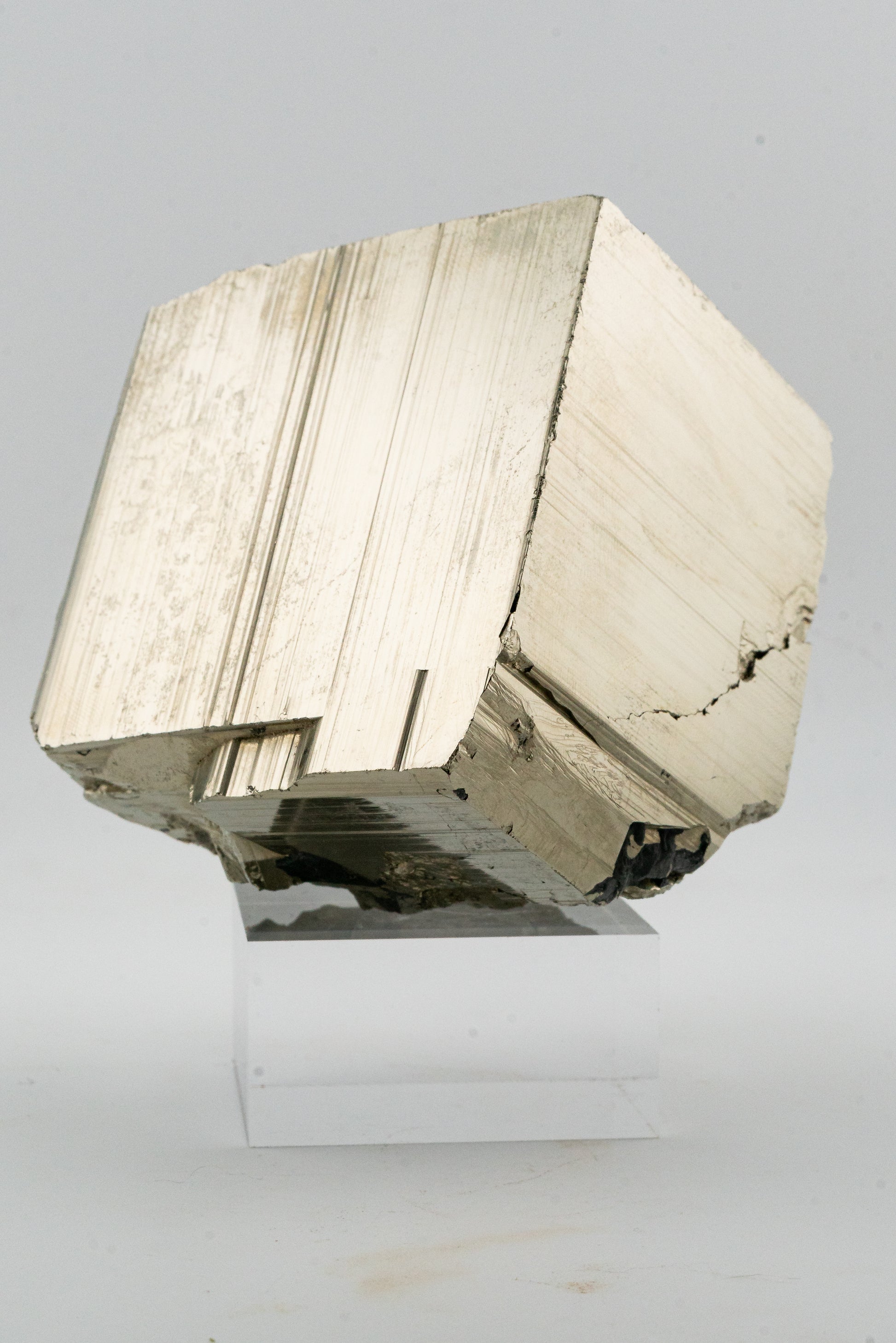 XL Cubic Pyrite - Huanzala, Peru