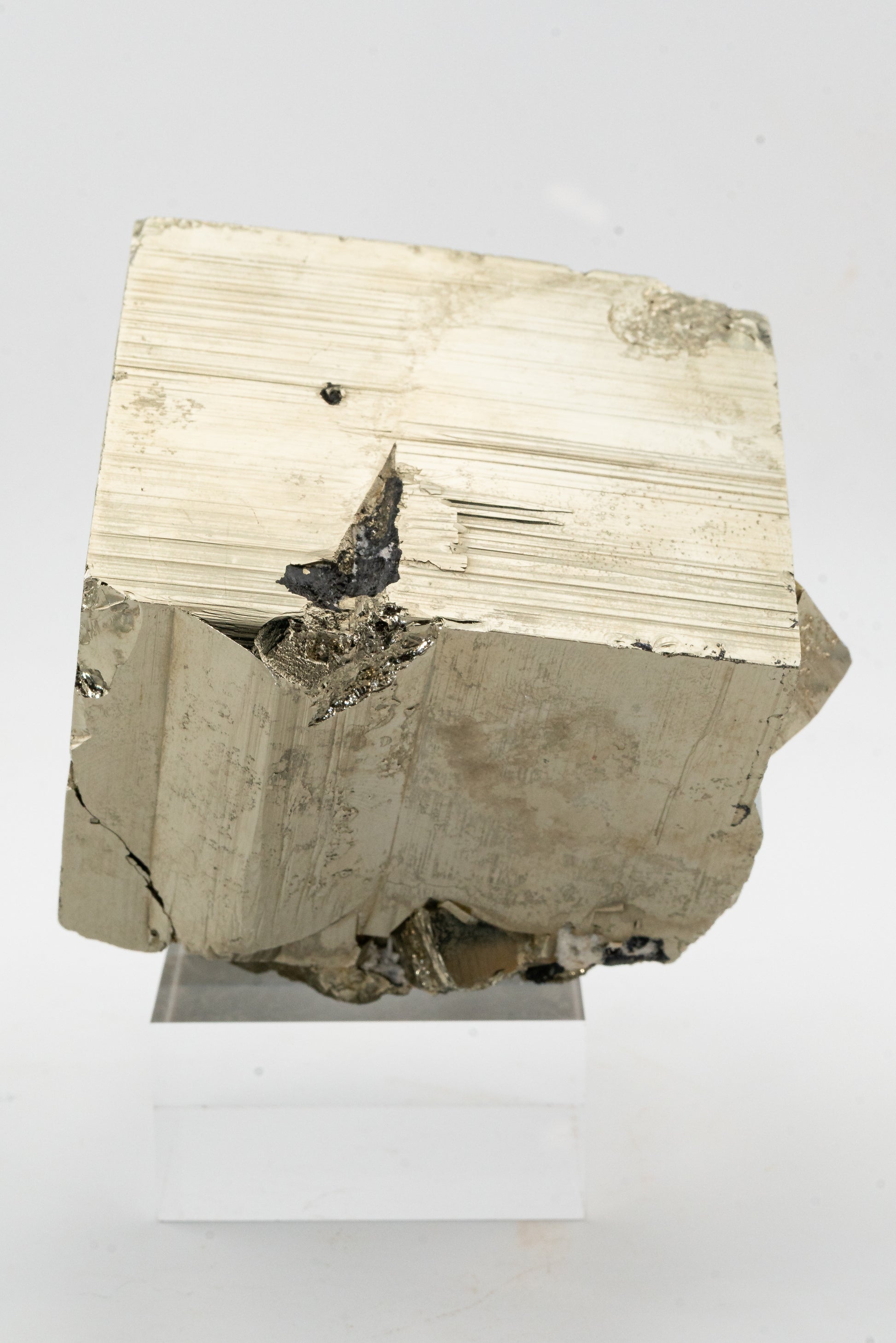 XL Cubic Pyrite - Huanzala, Peru