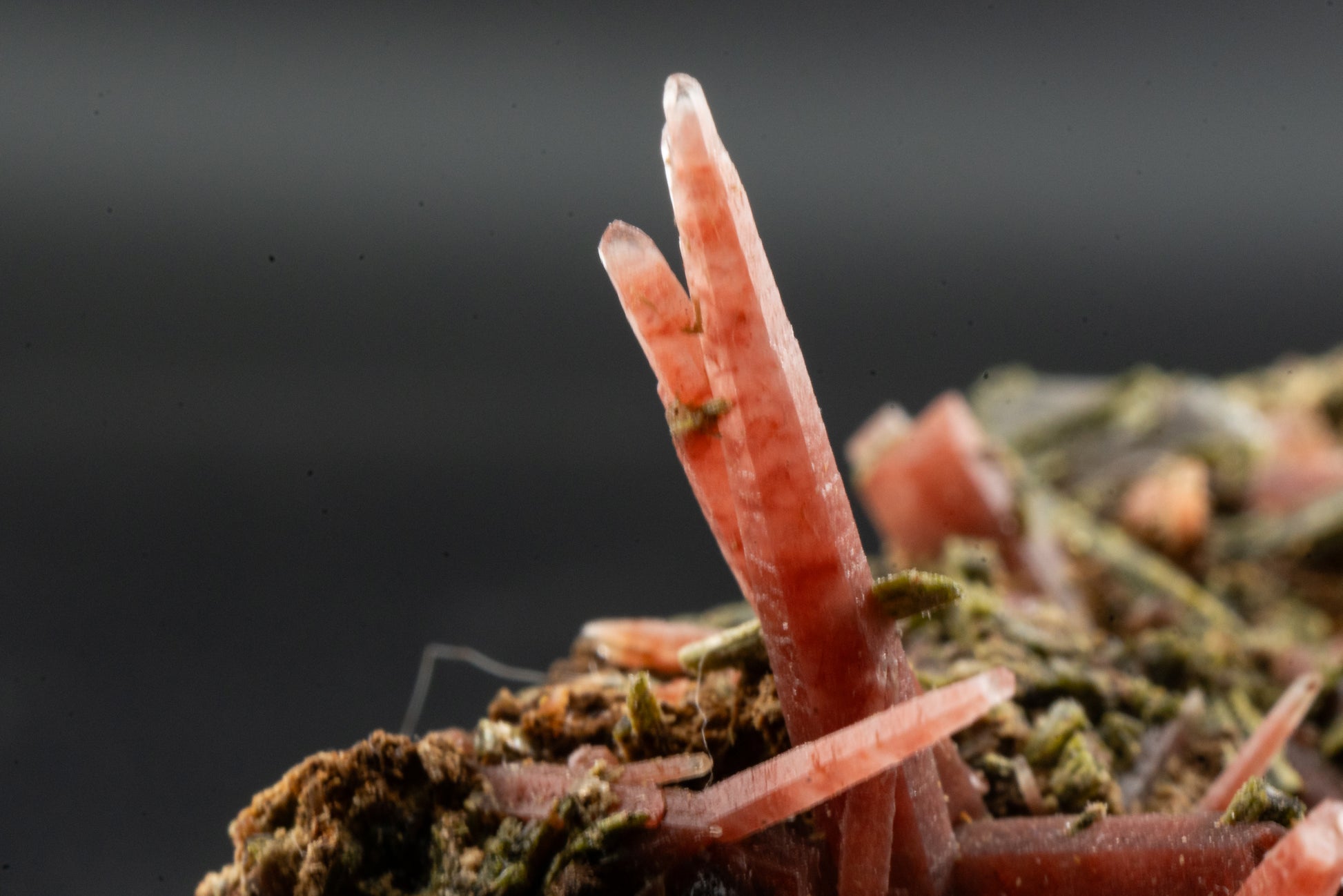 Ferruginous Quartz, Epidote - San Felipe Mine, Peru