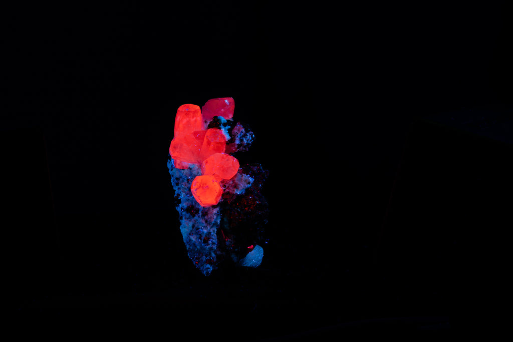 Calcite Var. Mangano, Pyrite- Huanzala, Peru - UV Reactive