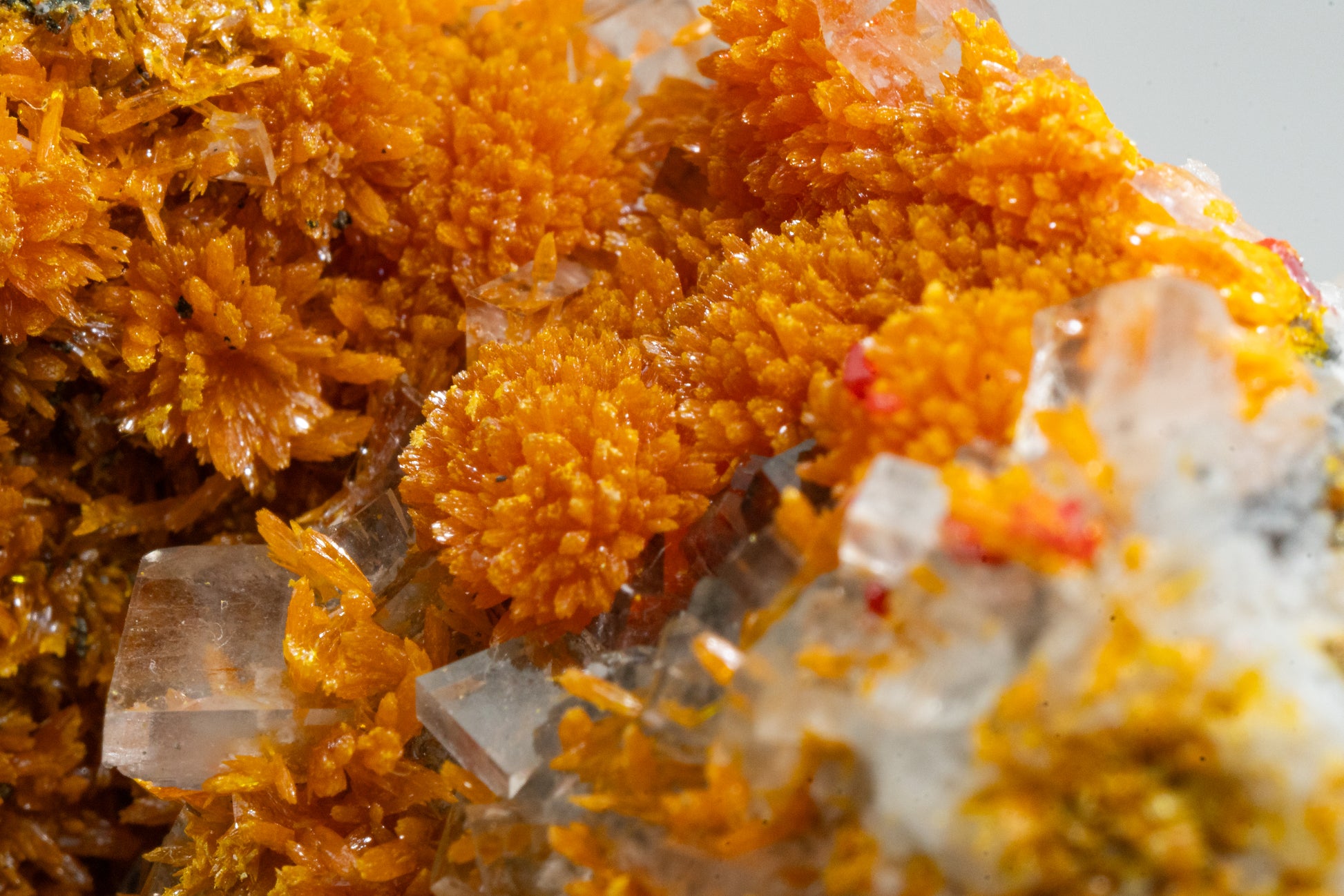 Orpiment, Realgar, Barite, - Quiruvilca Mine, Peru