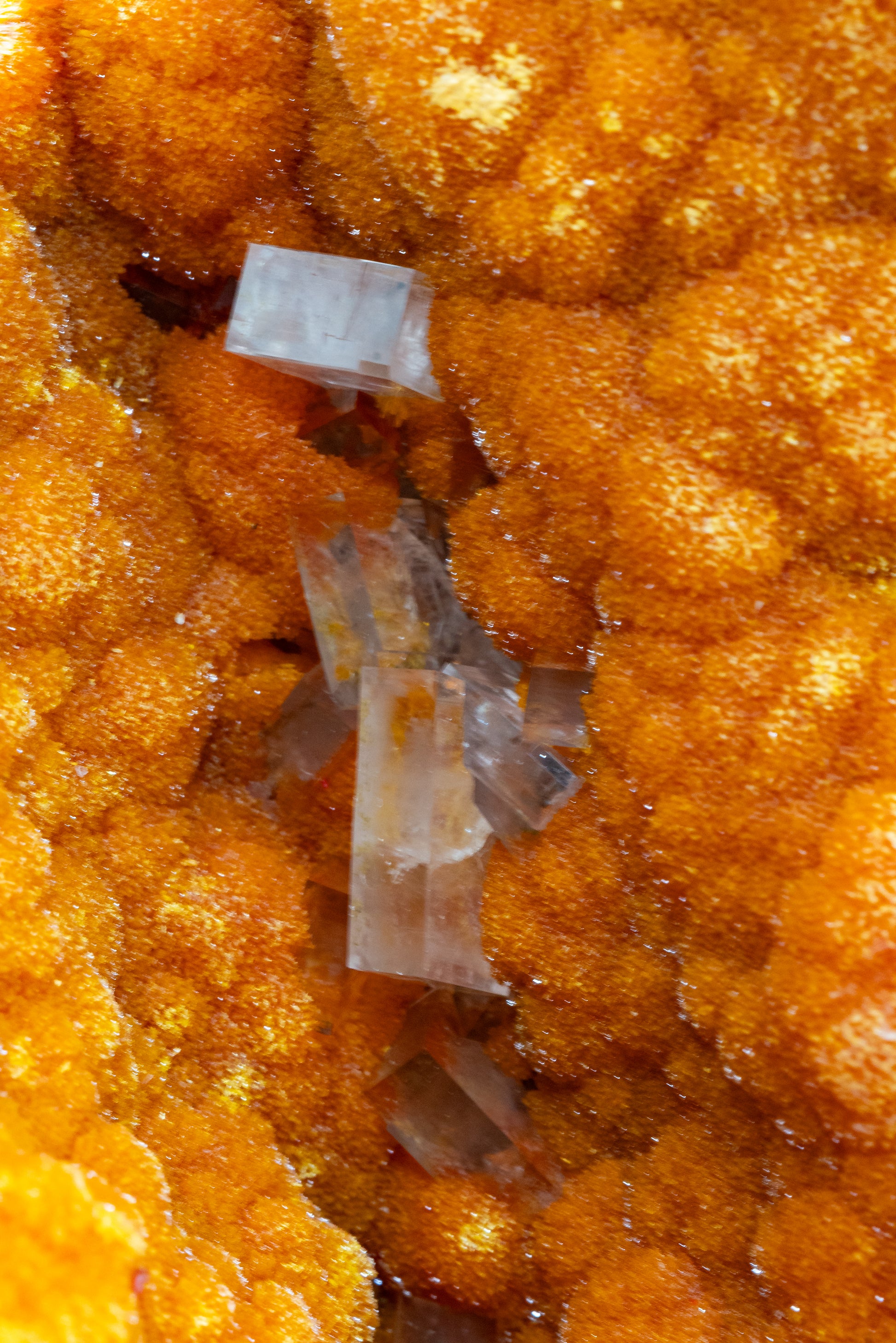 Orpiment, Realgar, Barite, - Quiruvilca Mine, Peru