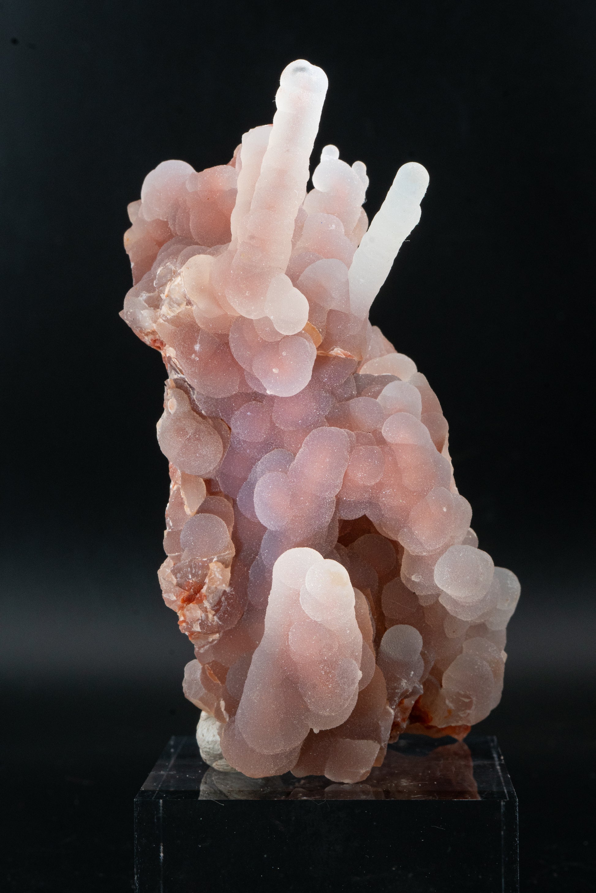 Quartz var. Chalcedony Stalactites - Zimapán, México
