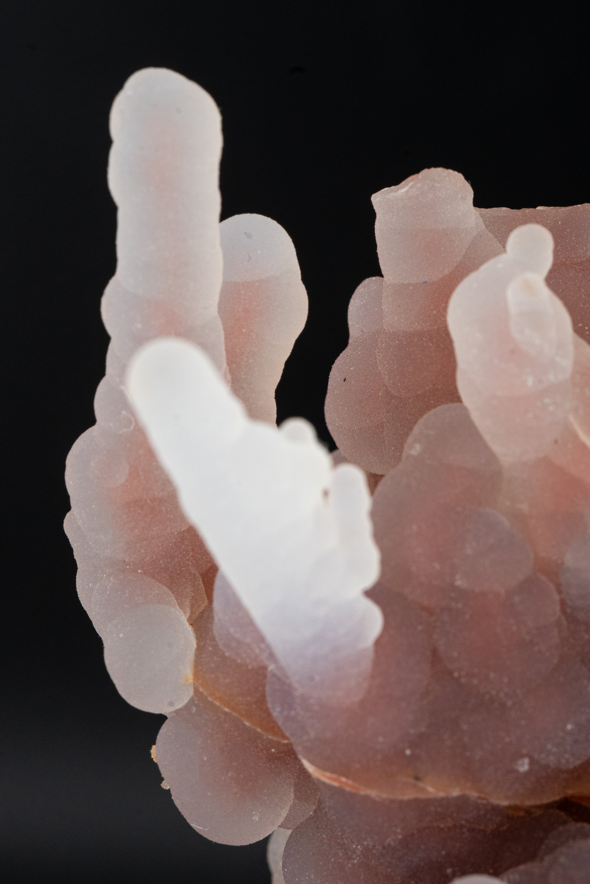 Quartz var. Chalcedony Stalactites - Zimapán, México