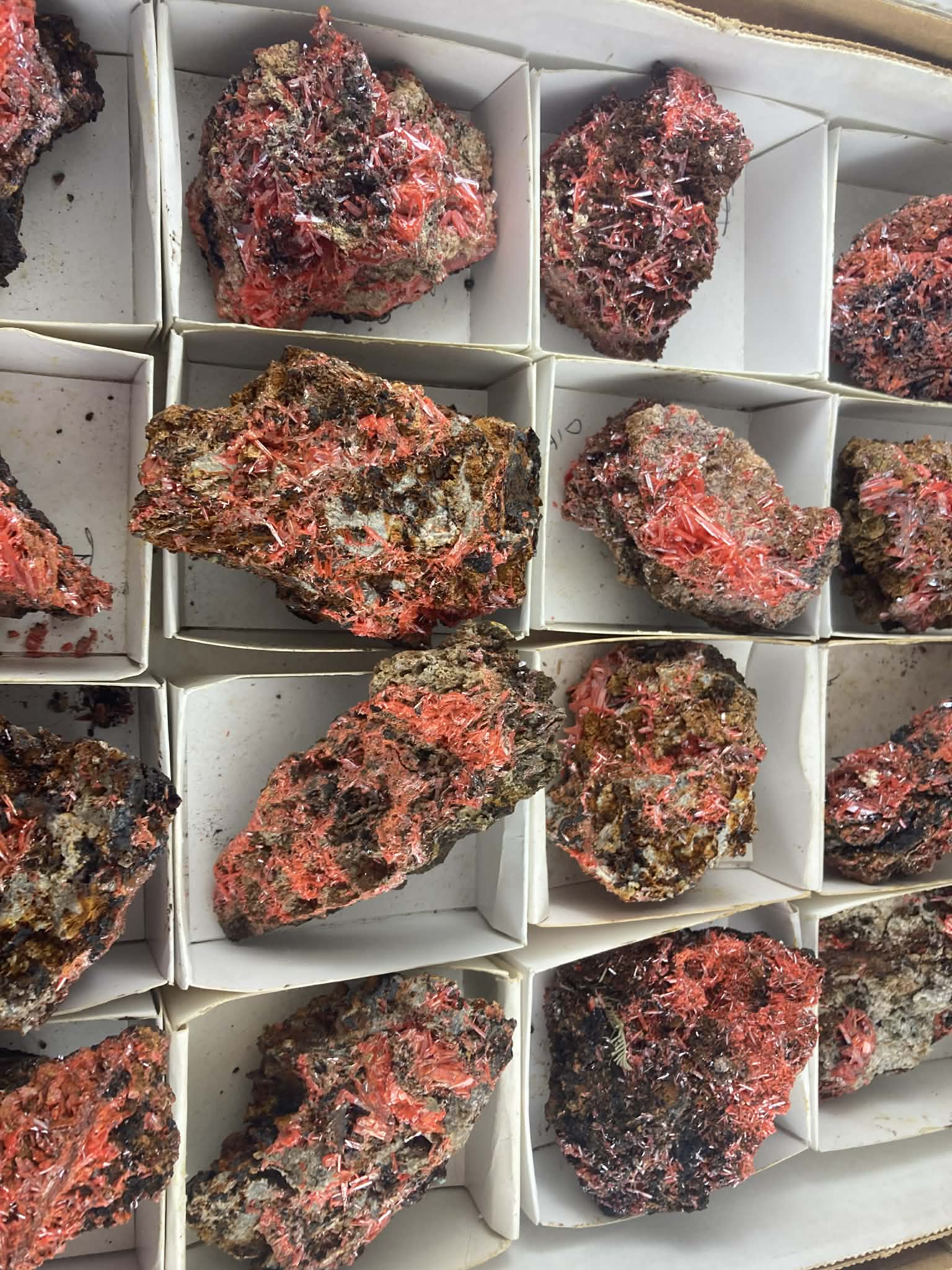 Lote 36 Piezas - Mineral Natural en Bruto - Crocoitas - Uso Personal / Decoración